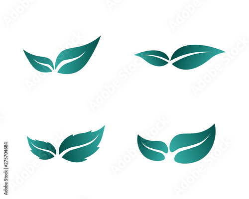 Tree leaf vector logo design, eco-friendly concept.