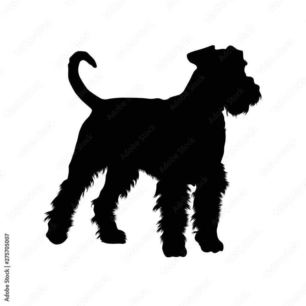 Airedale Terrier Silhouette Vector Style