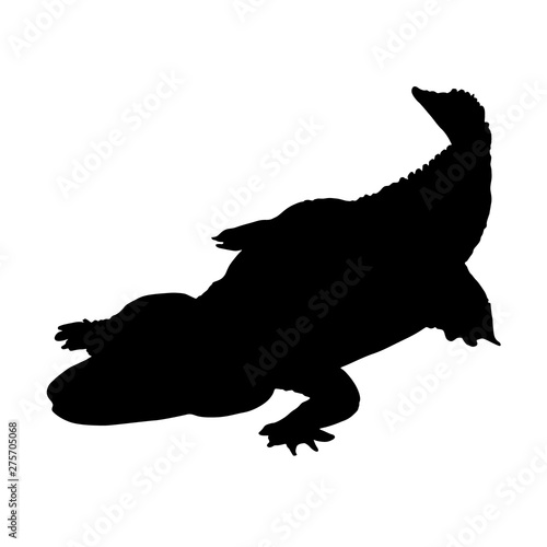 Alligator Silhouette Isolated On White