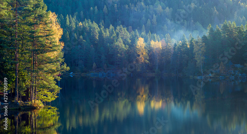 Morning light shining on autumn golden trees at a  forest lake