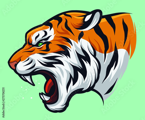 Angry Roaring Tiger, Panthera Tigris