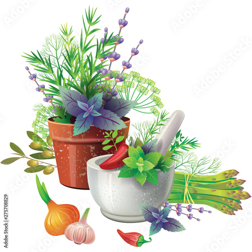 Still life with aromatic herbs in pots and vegetables