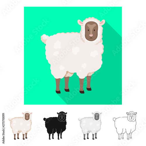 Vector illustration of sheep and pet logo. Set of sheep and lamb stock vector illustration.