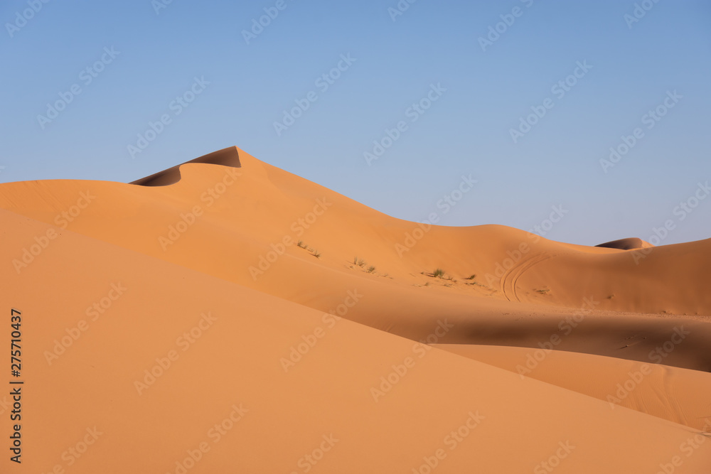 Dune de l'Erg Chebbi, désert de Merzouga, Maroc