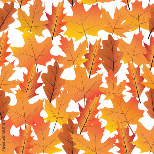 Seamless background with bright autumn leaves.