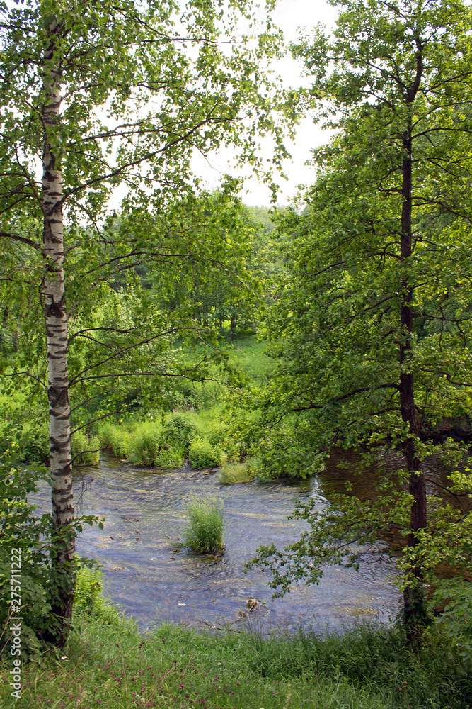 Bright summer landscape with river and green deciduous trees Bright summer landscape with river and green deciduous trees