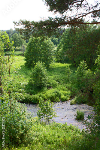 Fototapeta Naklejka Na Ścianę i Meble -  Bright summer landscape with river and green deciduous trees