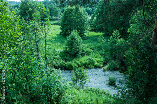 Bright summer landscape with river and green deciduous trees
