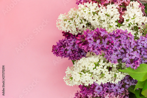 Fresh lilac flowers on gentle pink background. Place for text.