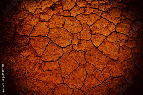 Dry desert land texture as background
