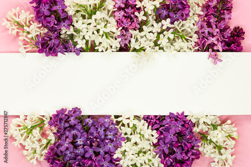 Lilac flowers bunch with white blank and place for text. Syringa border.