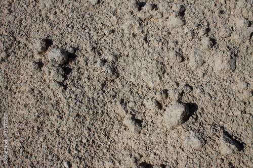 Texture of white granular mixture close-up