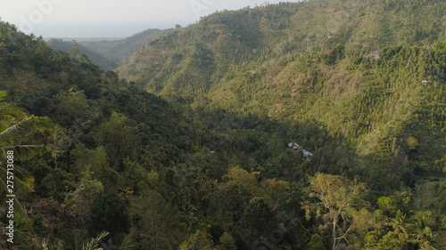 tropical forest on mountain slopes. aerial view rainforest in Indonesia. tropical forest with green, lush vegetation.