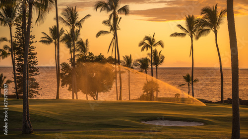 Golf course at sunset with sprinkler and nice back light.