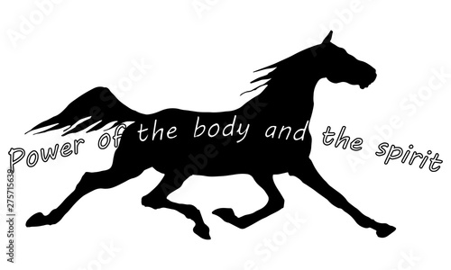  isolated black silhouette of a trotting horse on a white background  trot and inscription.