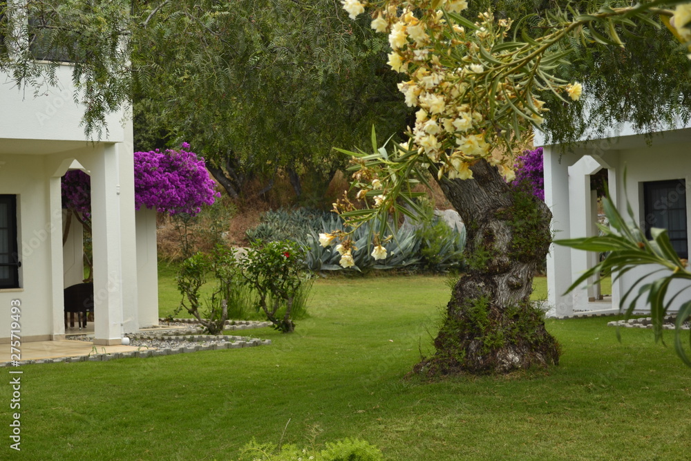 Fototapeta premium house in garden