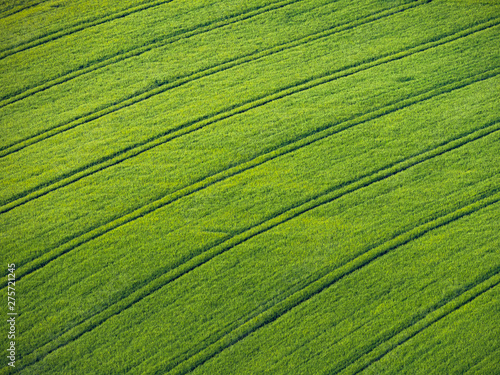 green agricultural field with tractor tracks aerial view