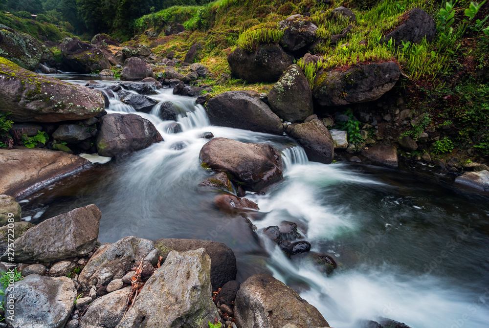 Fototapeta premium Faial da Terra creek, São Miguel, Azores