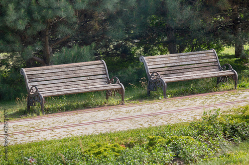 Two wooden benches in the summer park