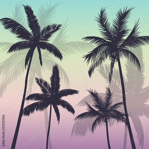 Palm trees background