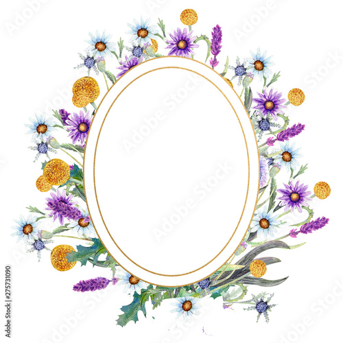 Fototapeta Naklejka Na Ścianę i Meble -  Romantic oval frame. Wildflowers in watercolor. Wedding concept with flowers. Floral poster, invitation. Watercolor arrangements for greeting card or invitation design.