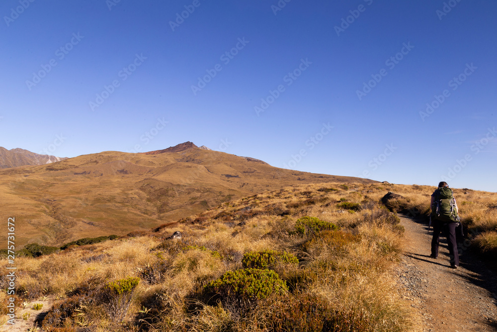 Woman hiker on Kepler Track pathway. Panoramic great walk in South Island in New Zealand.