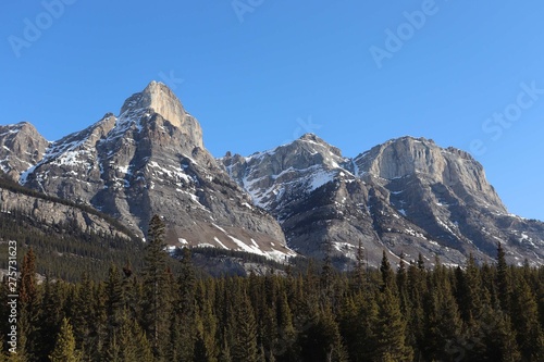 Jasper mountains in the winter