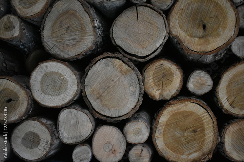 log wood pile