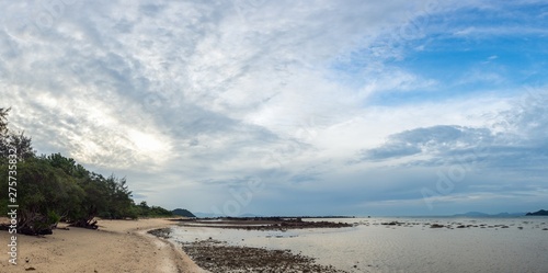 Panorama of a beach with mangrove tree show its root in low tide. With beautiful morning sky.
