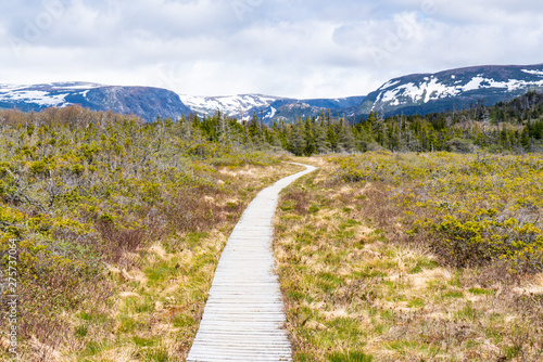 Trail in Gros Morne National Park