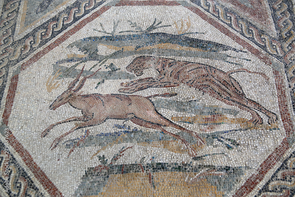 Ancient mosaic of Roman ruins in Aquileia, Italy