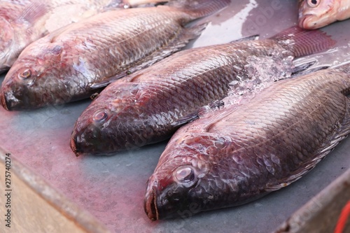 fresh fish in the market © oilslo