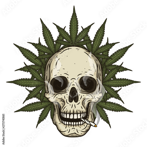 Rastaman skull with cannabis leafs. Vector illustration.