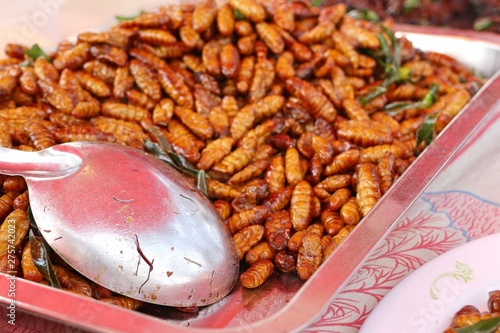 Fried insect at street food