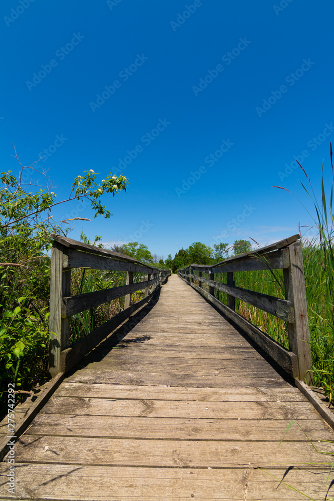 Wooden walkway