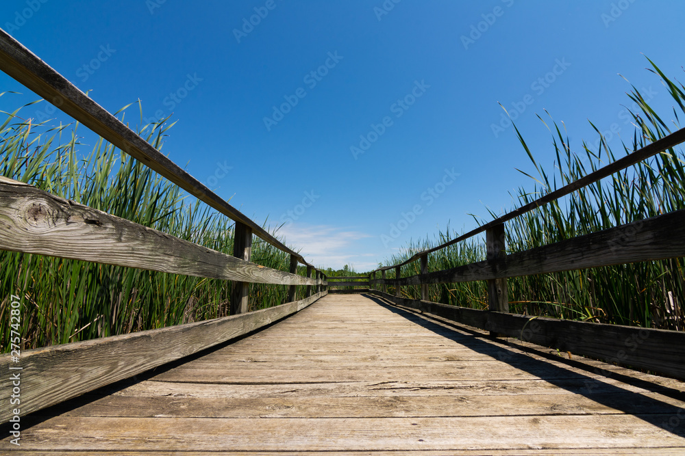 Fototapeta premium Wooden walkway