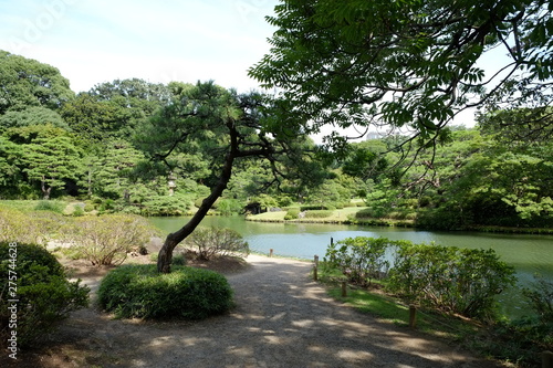 日本の庭園