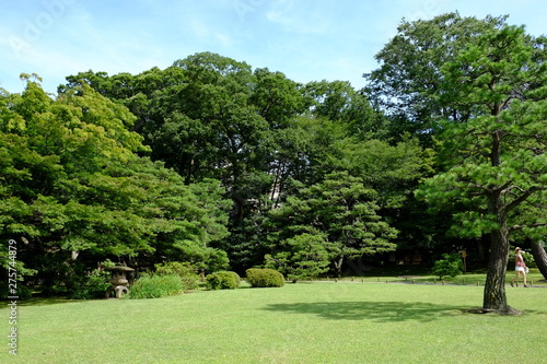 日本の庭園 © suno