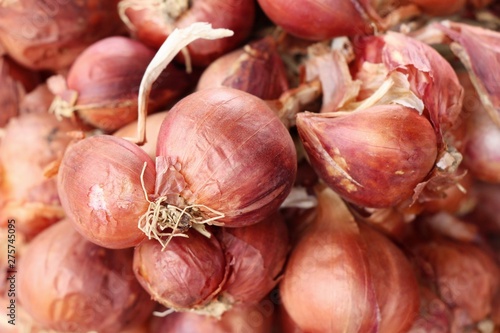 Shallot - asia red onion at street food