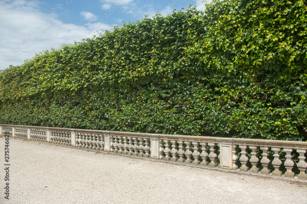 Trimmed Hedges and elegant architecture in Beautiful Public Gardens of former Royal Palace in Vienna