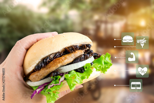 Crickets insect for eating as food items made of cooked insect in burger on woman's hand with media icons symbol nutrition for fast food, is good source of protein edible. Entomophagy concept. photo