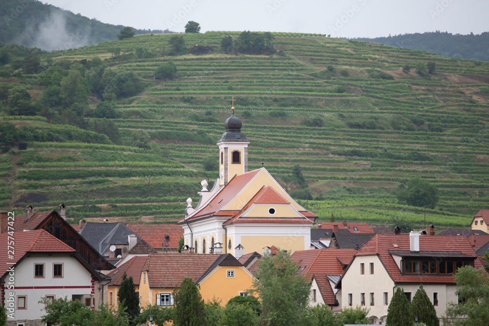 Premieum Vineyards in Krems, a small town in the Wachau Valley in the Austrian Countryside west of Vienna