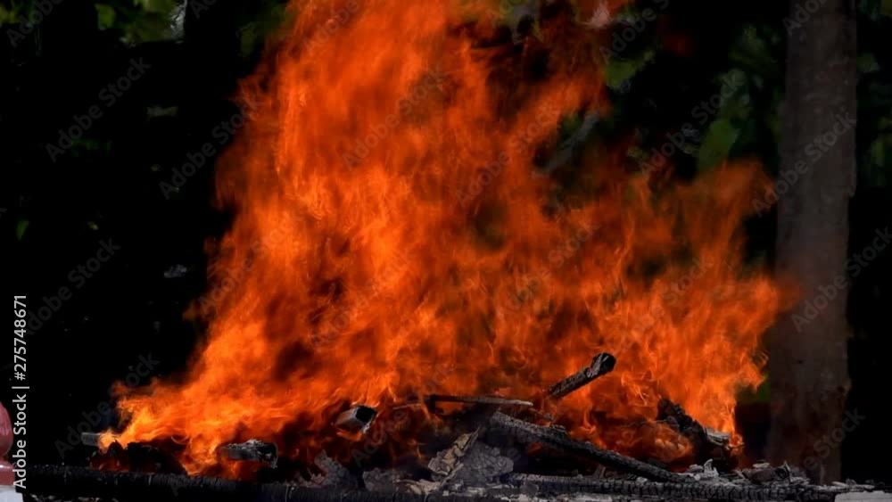 Burning fire. Bonfire. Closeup of flames burning on black background, slow motion Burning fire. Bonfire. Closeup of flames burning on black background, slow motion