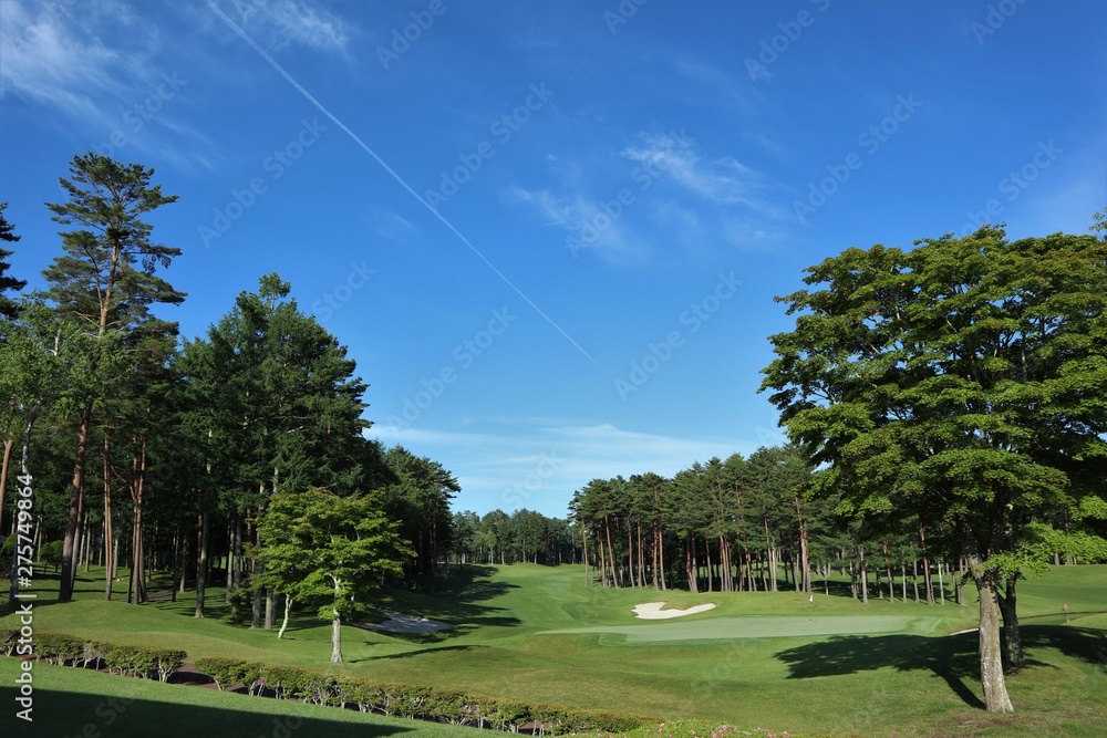 Obraz premium 初夏のゴルフ場
