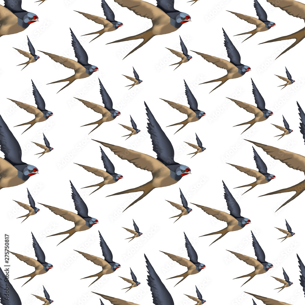 Obraz premium Illustration with a swallow in flight. bird print
