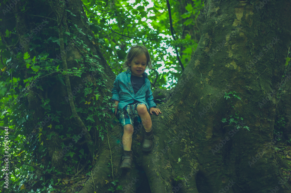 Little toddler climbing a tree