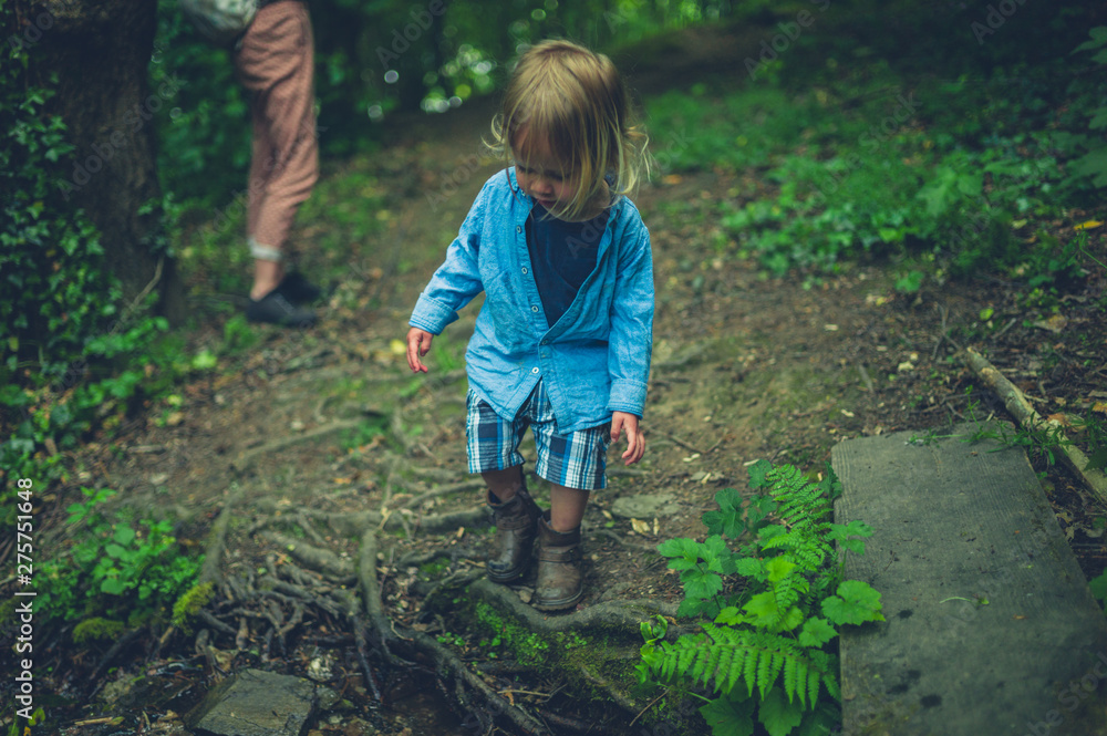 Mother and toddler walking in the woods Mother and toddler walking in the woods