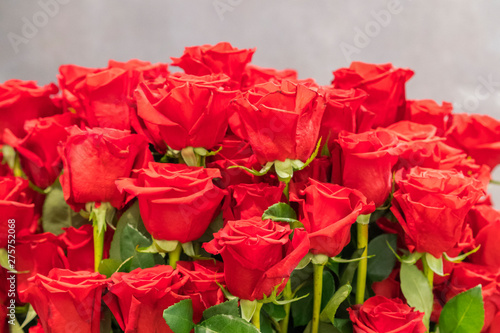 Fresh  natural red roses with green leaves. background