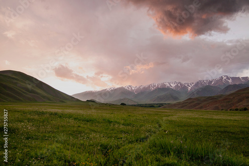 Sunset in the mountains of Tien Shan. Pastures on the background of snow-capped peaks of the mountain range. © Emma