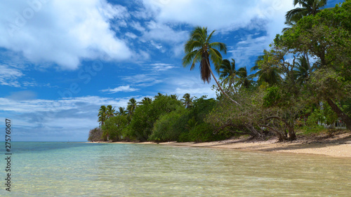 Exotic coral island with calm sea and coconut palm trees, Tonga photo